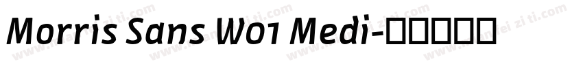 Morris Sans W01 Medi字体转换